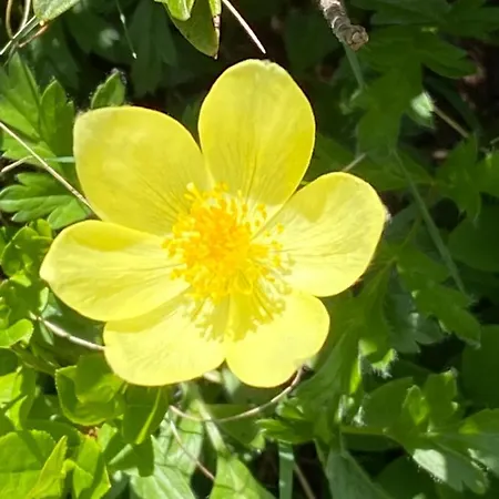 Casa Zanetti Lejlighed *