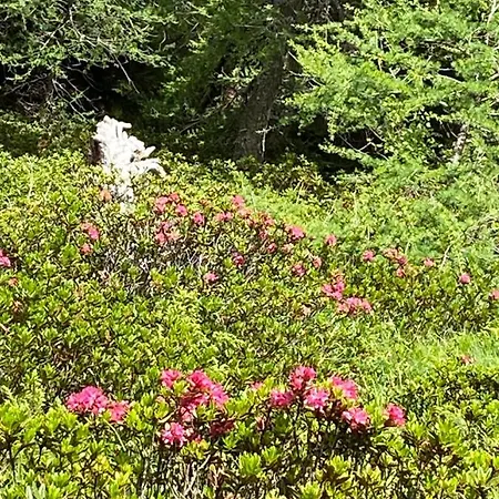 公寓 Casa Zanetti *