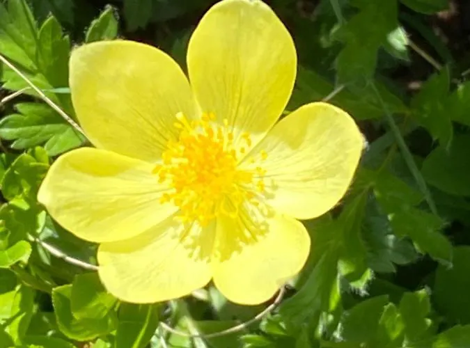 Casa Zanetti Apartament *